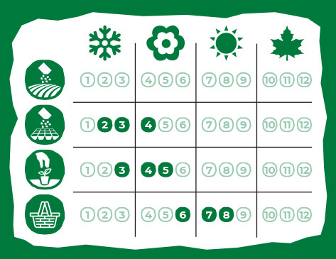 Calendario de Siembra Eurogarden Aromáticas Manzanilla