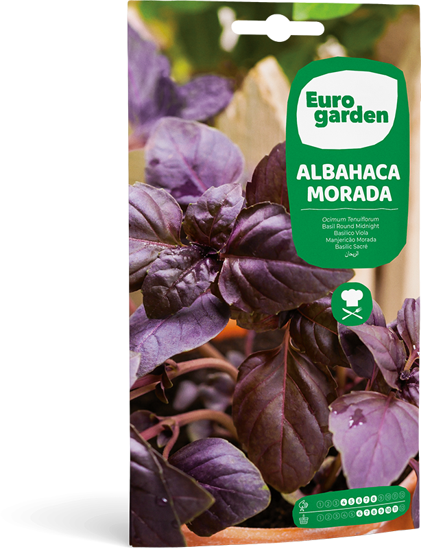 Mockup Sobre Eurogarden Aromáticas Albahaca Morada