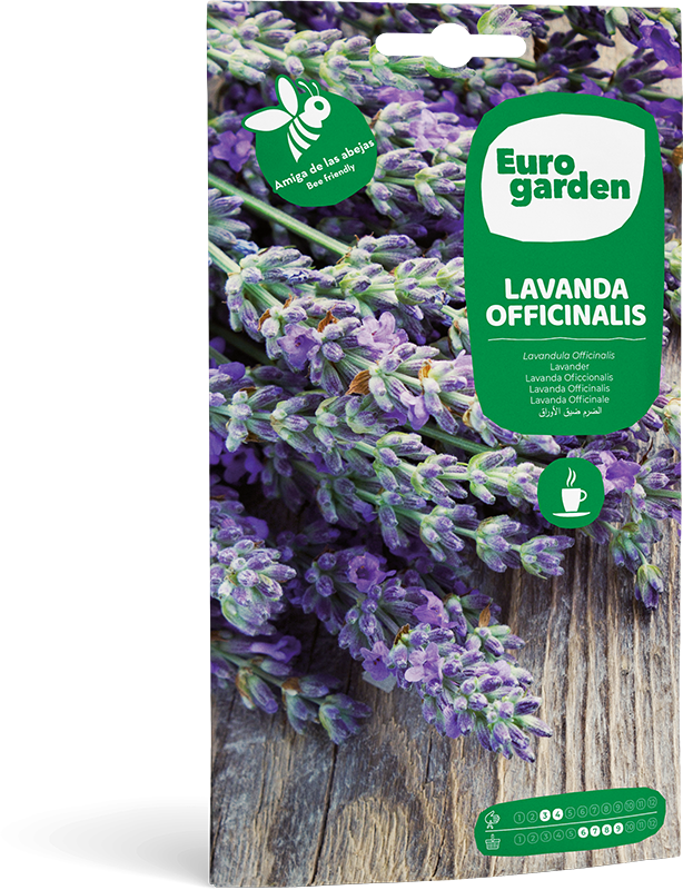 Mockup Sobre Eurogarden Aromáticas Lavanda Officinalis