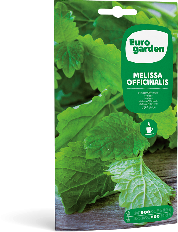 Mockup Sobre Eurogarden Aromáticas Melissa Officinalis