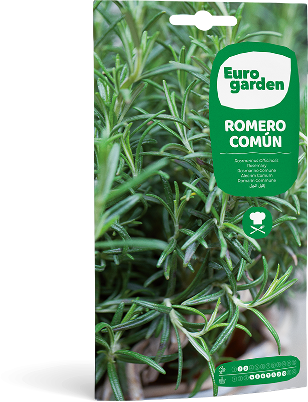 Mockup Sobre Eurogarden Aromáticas Romero Común