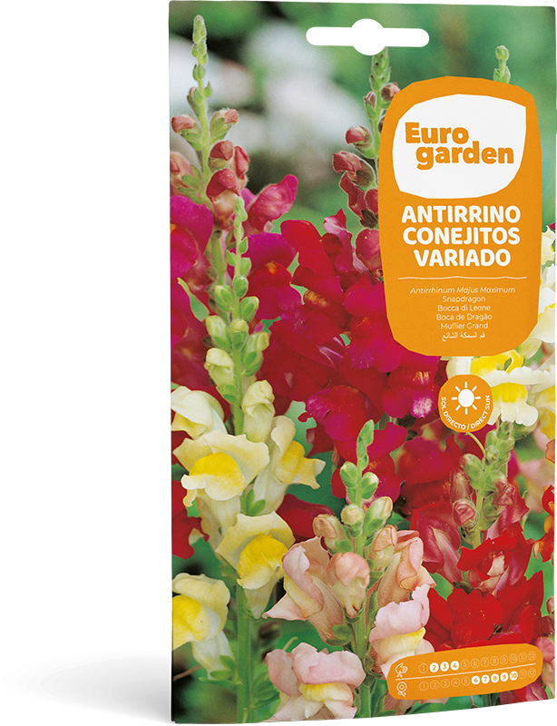 Mockup Sobre Individual Eurogarden Flores Antirrino Conejitos Variado