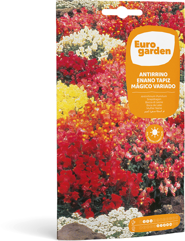 Mockup Sobre Individual Eurogarden Flores Antirrino Enano Tapiz Mágico Variado