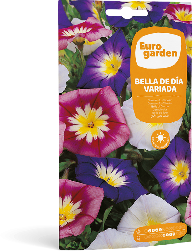 Mockup Sobre Individual Eurogarden Flores Bella de Día Variada