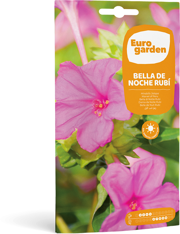 Mockup Sobre Individual Eurogarden Flores Bella de Noche Rubí