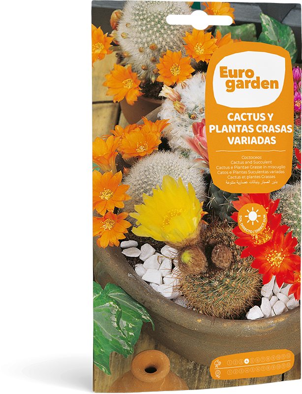 Mockup Sobre Individual Eurogarden Flores Cactus y Plantas Crasas Variadas