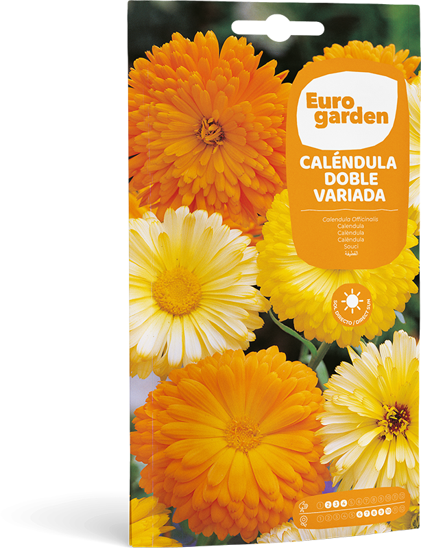 Mockup Sobre Individual Eurogarden Flores Caléndula Doble Variada