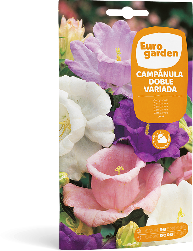 Mockup Sobre Individual Eurogarden Flores Campánula Doble Variada