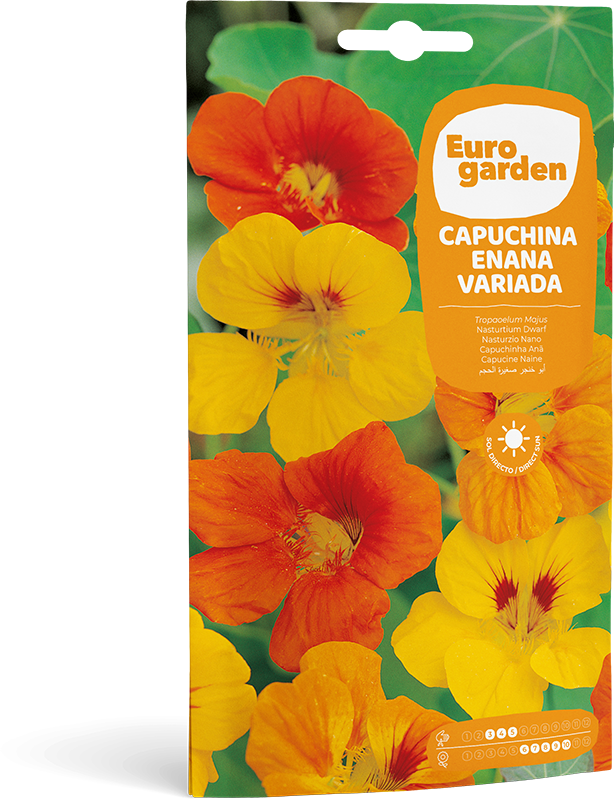 Mockup Sobre Individual Eurogarden Flores Capuchina Enana Variada
