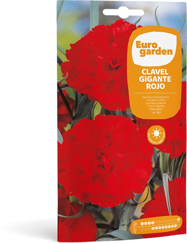Mockup Sobre Individual Eurogarden Flores Clavel Gigante Rojo
