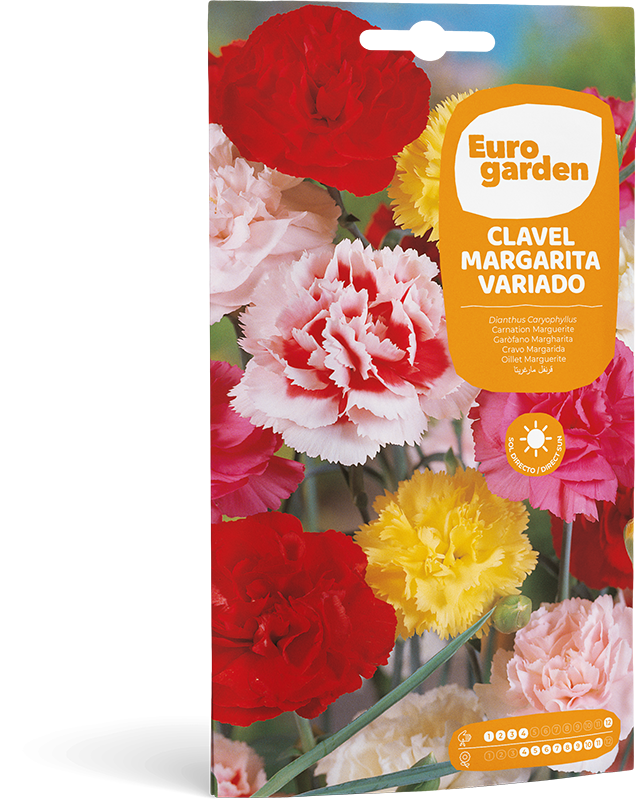 Mockup Sobre Individual Eurogarden Flores Clavel Margarita Variado