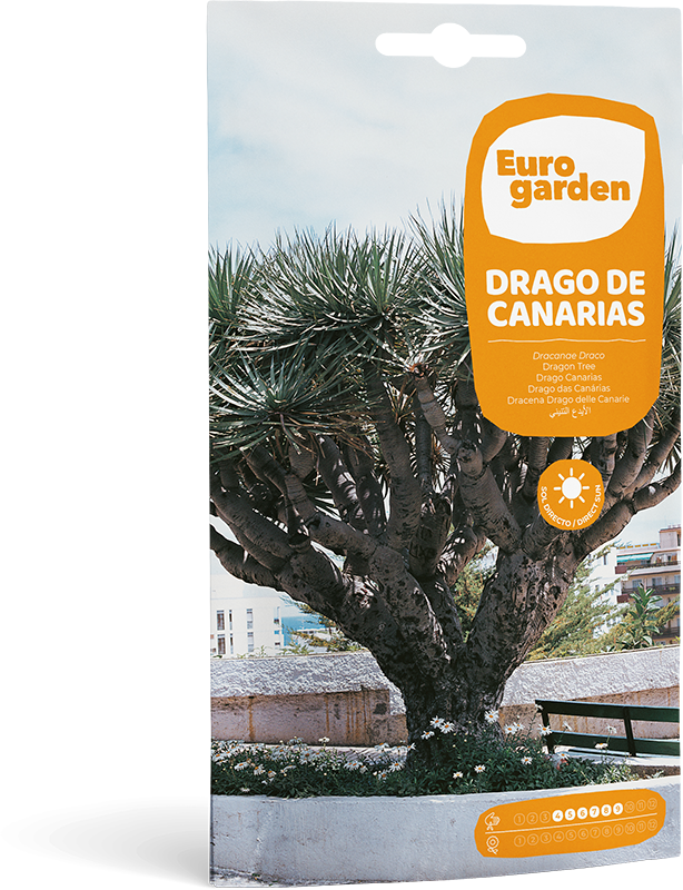 Mockup Sobre Individual Eurogarden Flores Drago de Canarias