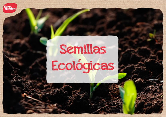 semillas ecológicas