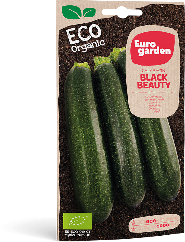 Mockup Sobre Individual Eurogarden ECO Calabacín Black Beauty