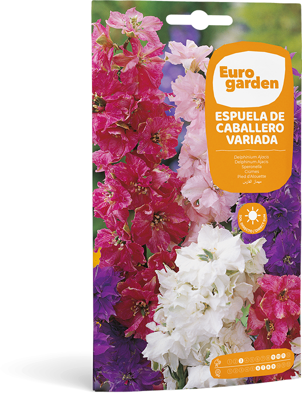 Mockup Sobre Individual Eurogarden Flores Espuela de Caballero Variada