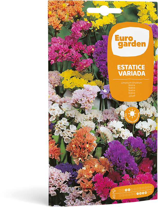 Mockup Sobre Individual Eurogarden Flores Estatice Variada