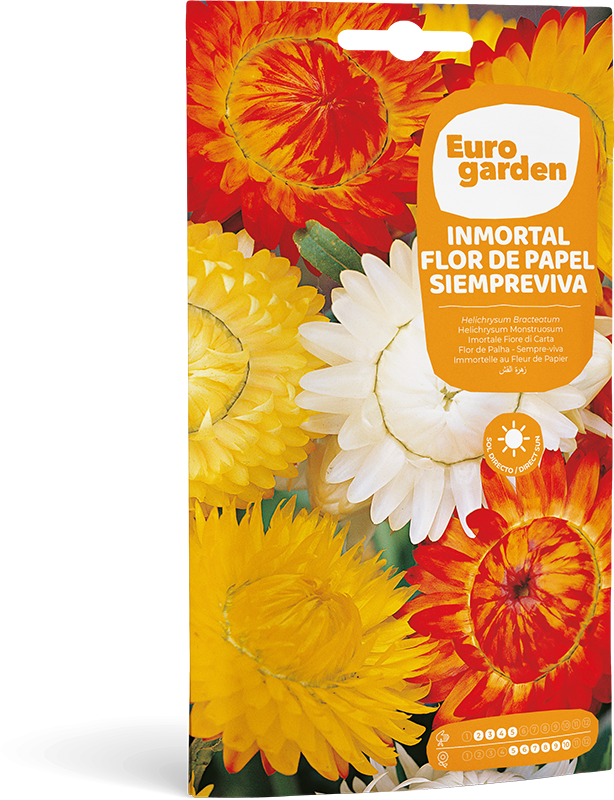 Mockup Sobre Individual Eurogarden Flores Inmortal Flor de Papel Siempreviva