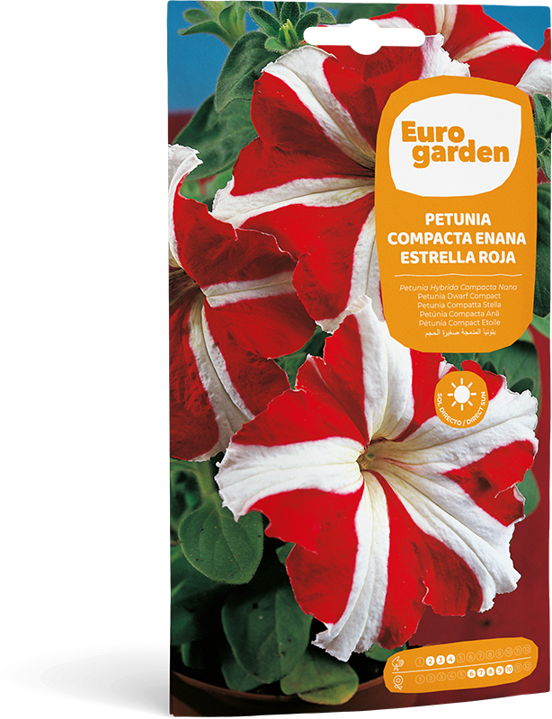 Mockup Sobre Individual Eurogarden Flores Petunia Compacta Enana Estrella Roja