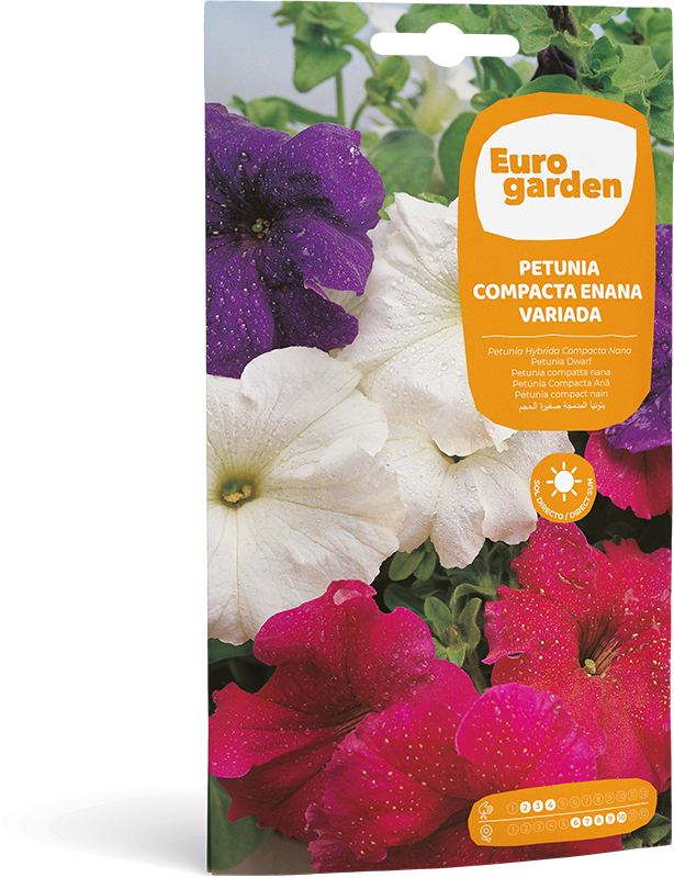 Mockup Sobre Individual Eurogarden Flores Petunia Compacta Enana Variada