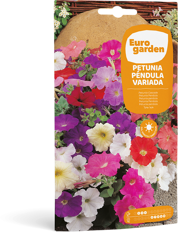 Mockup Sobre Individual Eurogarden Flores Petunia Péndula Variada