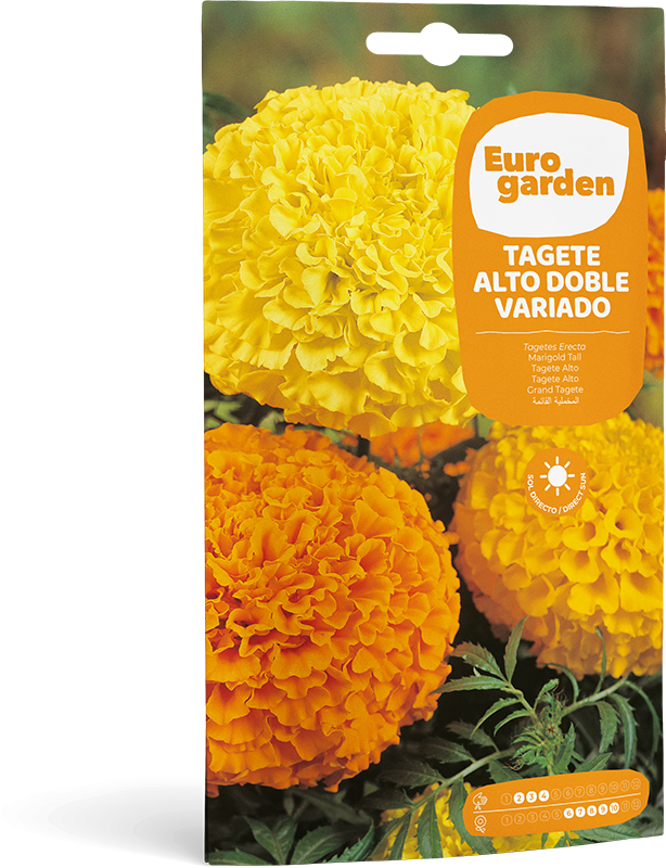 Mockup Sobre Individual Eurogarden Flores Tagete Alto Doble Variado