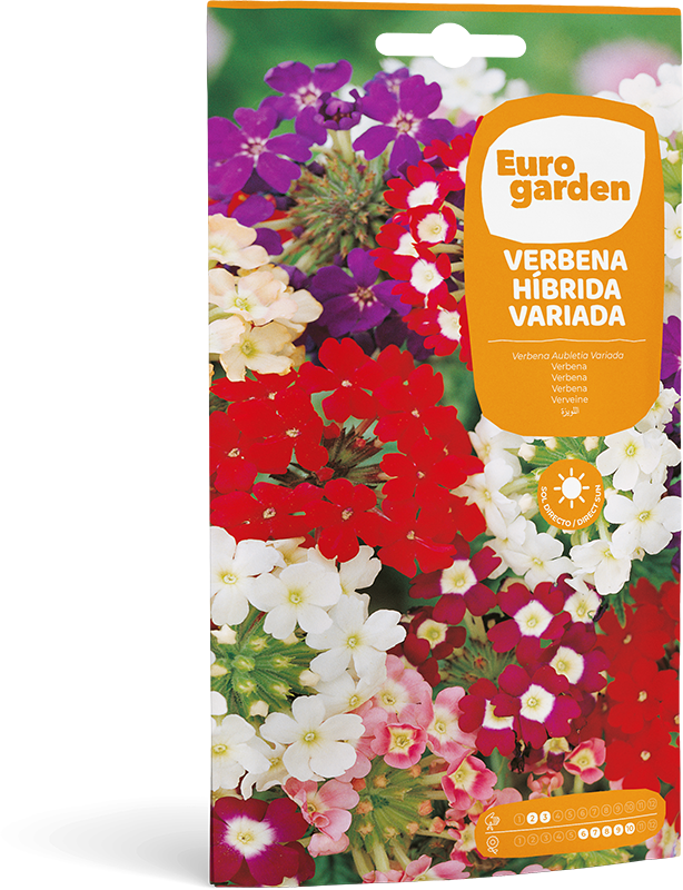 Mockup Sobre Individual Eurogarden Flores Verbena Híbrida Variada