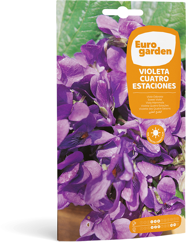 Mockup Sobre Individual Eurogarden Flores Violeta Cuatro Estaciones