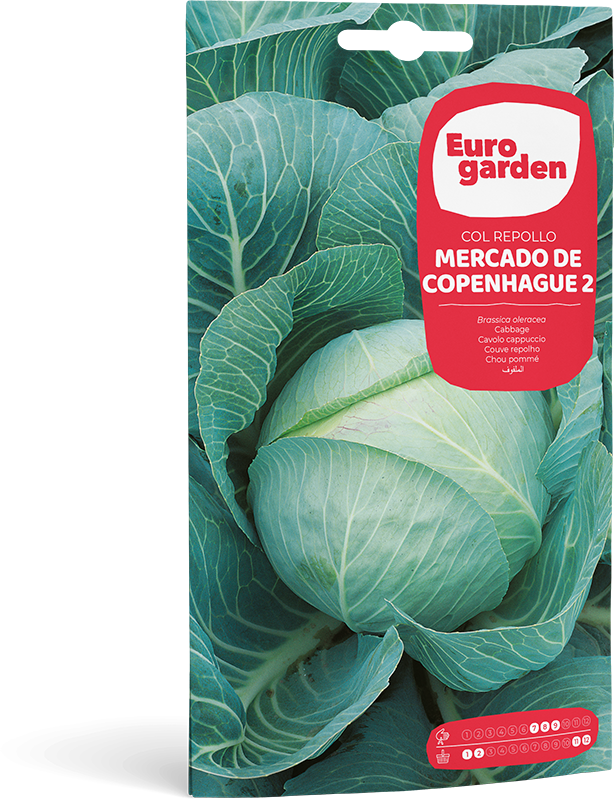 Mockup Sobre Individual Eurogarden Hortícolas Col Repollo Mercado de Copenhague 2