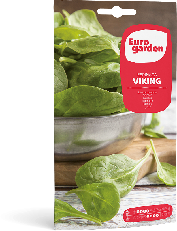 Mockup Sobre Individual Eurogarden Hortícolas Espinaca Viking