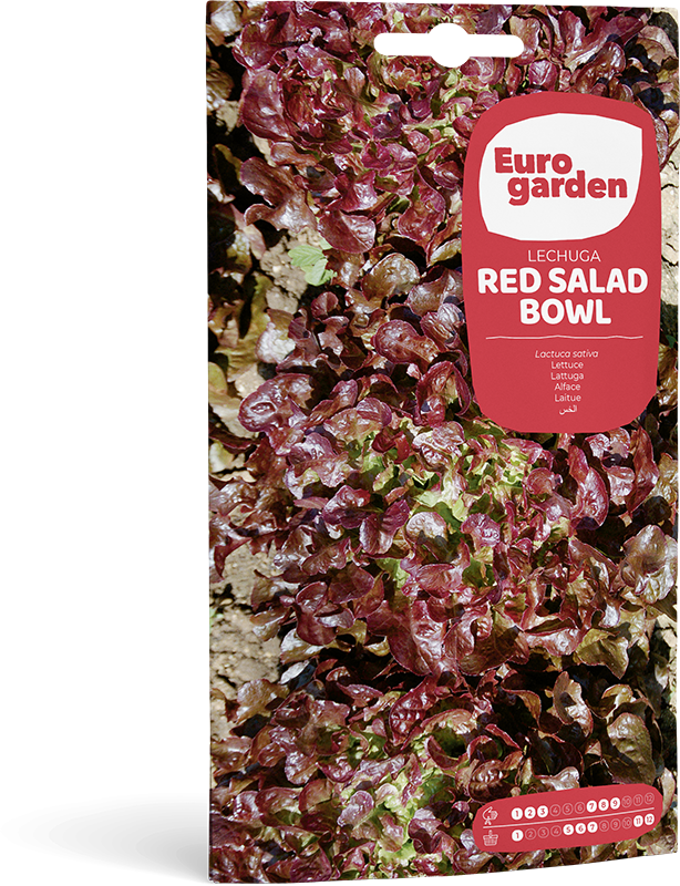 Mockup Sobre Individual Eurogarden Hortícolas Lechuga Red Salad Bowl