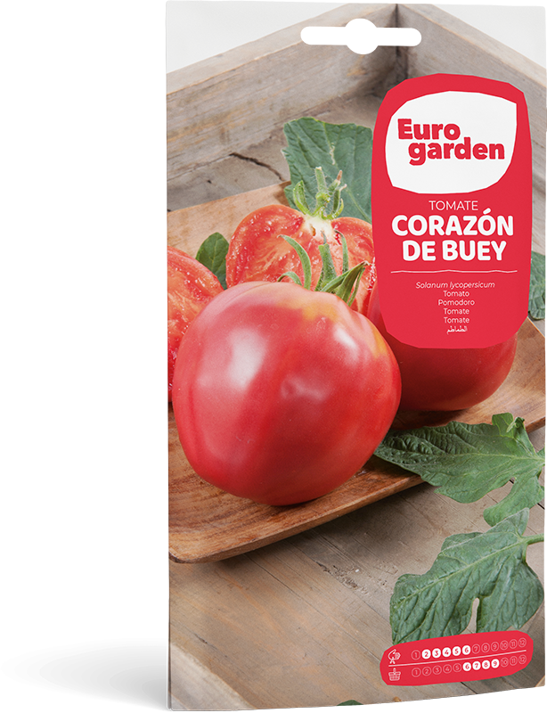 Mockup Sobre Individual Eurogarden Hortícolas Tomate Corazón de Buey