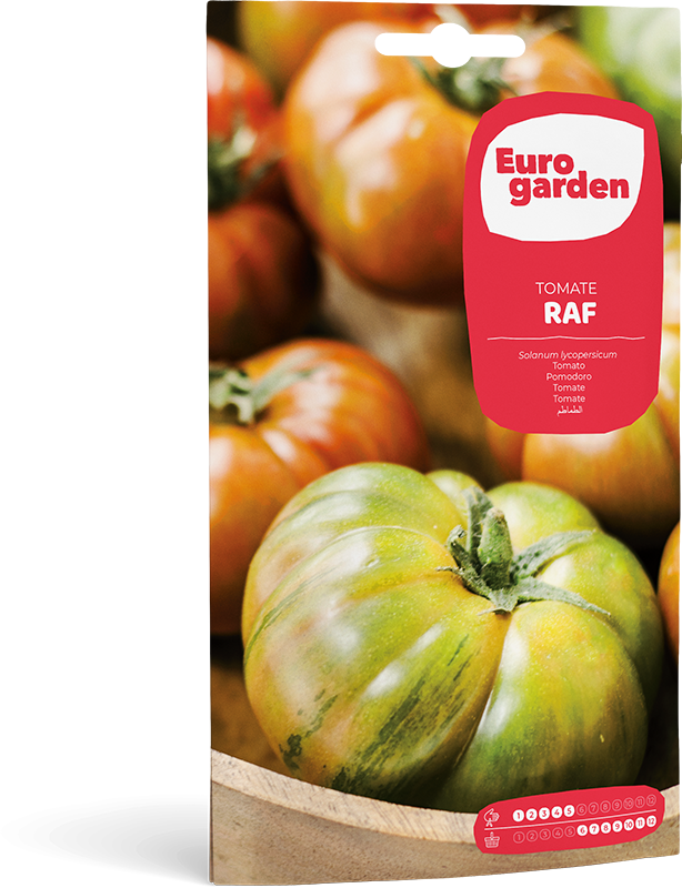Mockup Sobre Individual Eurogarden Hortícolas Tomate Raf