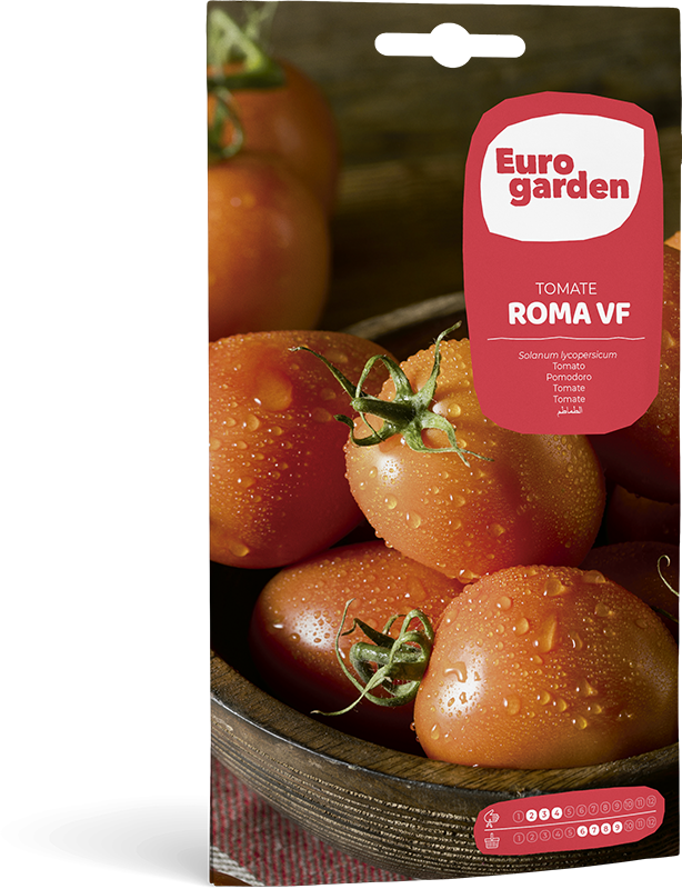 Mockup Sobre Individual Eurogarden Hortícolas Tomate Roma VF