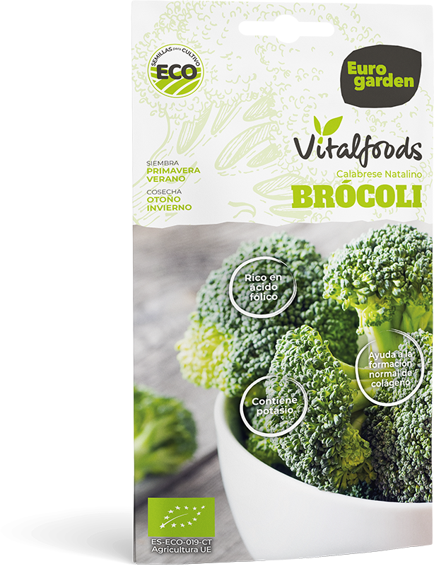 Mockup Sobre Vitalfoods Brócoli