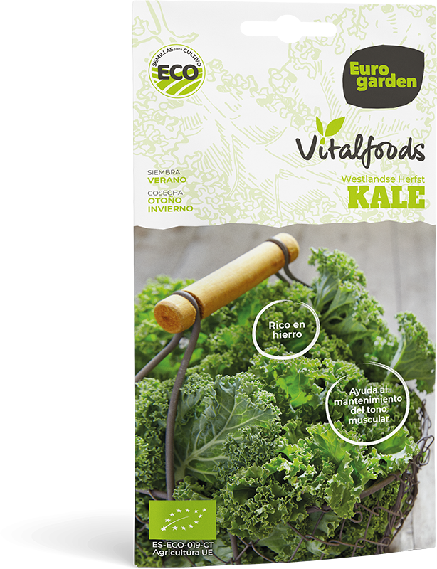 Mockup Sobre Vitalfoods Kale