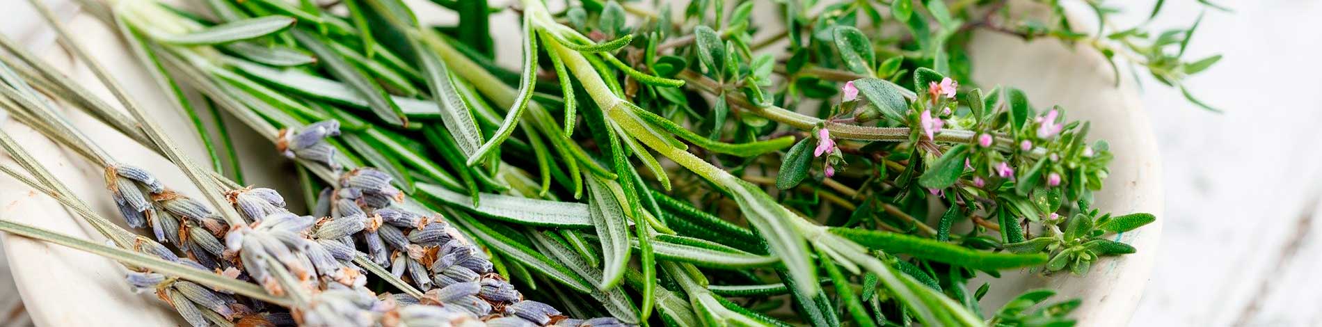 aromaticas