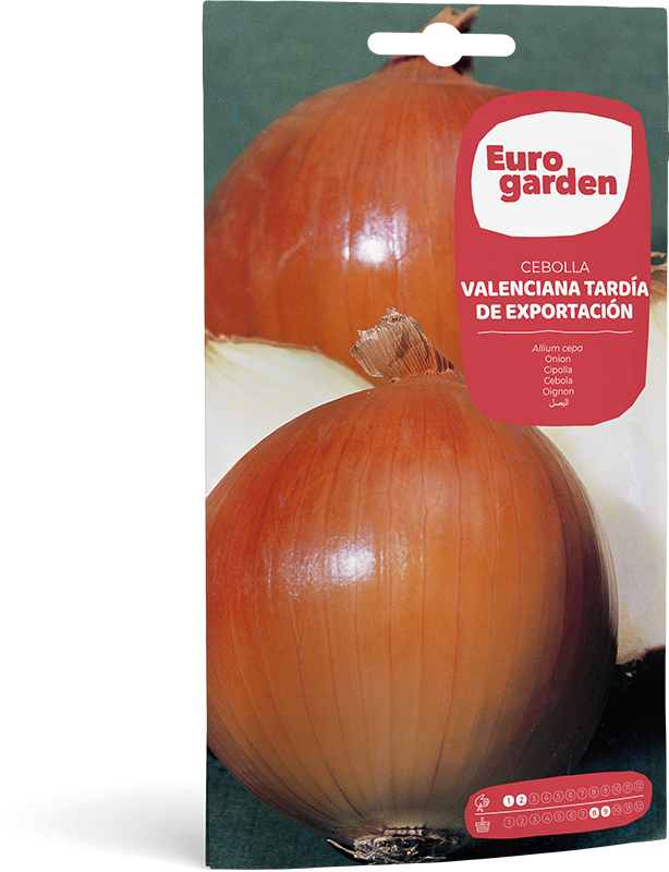 Mockup Sobre Individual Eurogarden Hortícolas Cebolla Valenciana Tardía de Exportación
