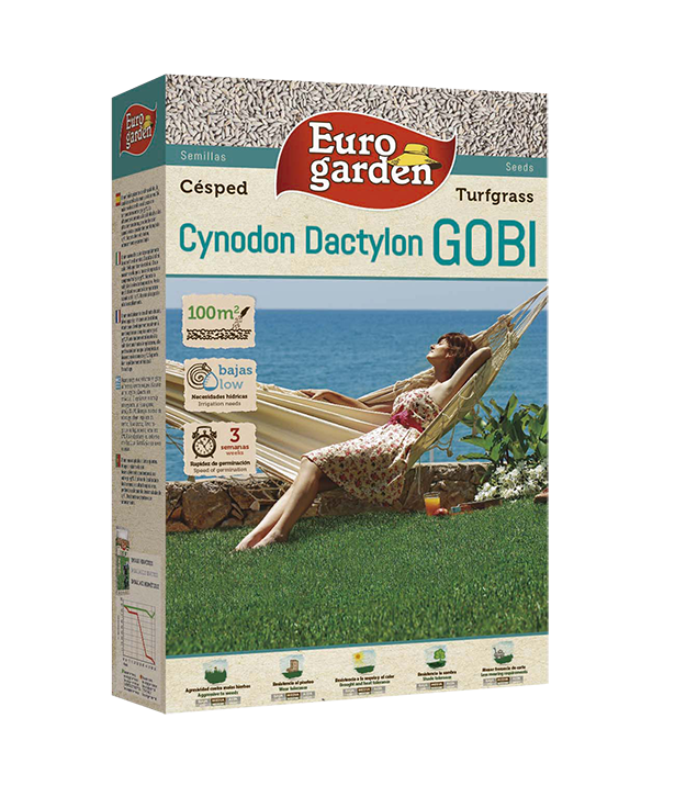 cynodon dactylon gobi