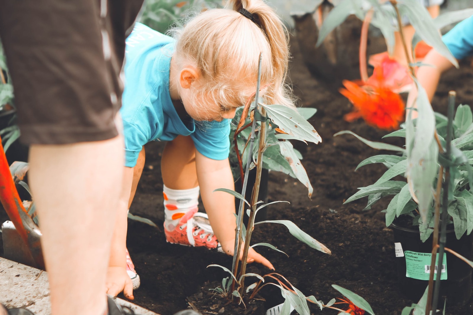 niña plantando en un huerto urbano