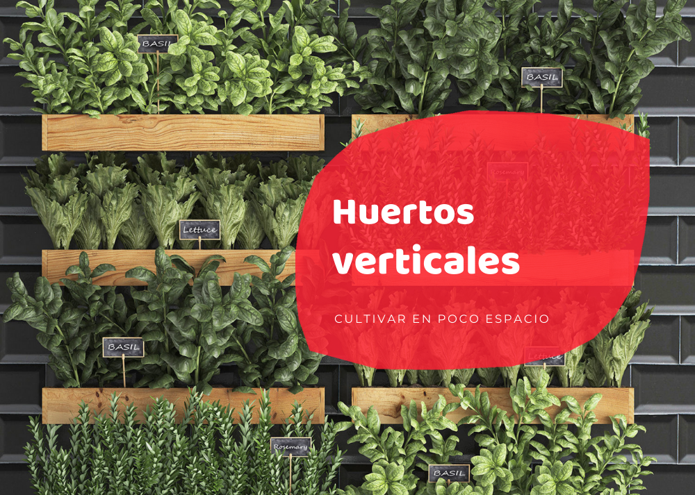 Huerto vertical