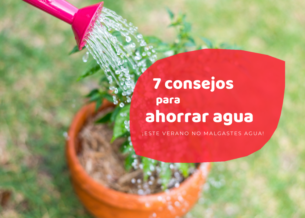 ahorrar agua