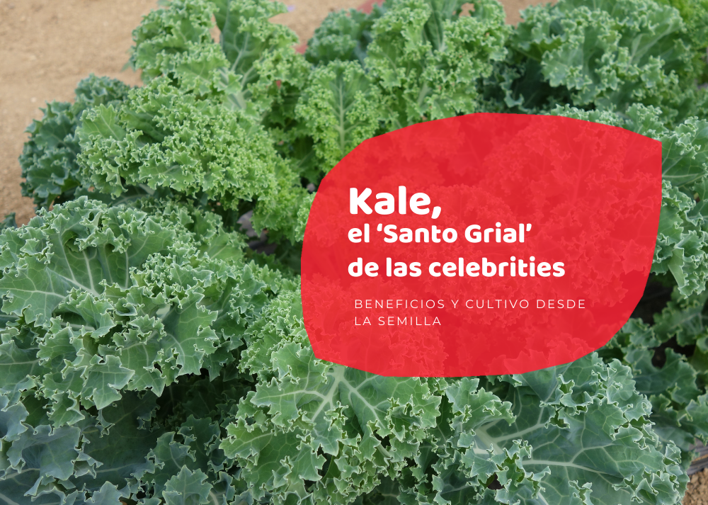 kale