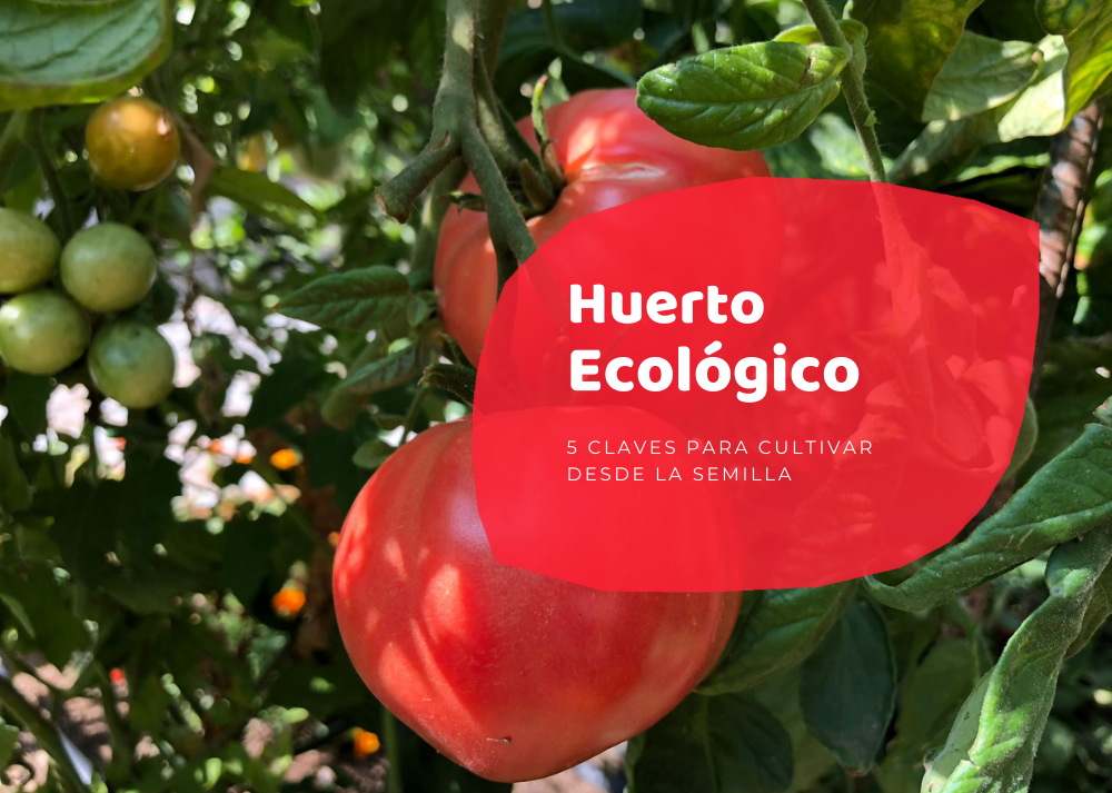 Huerto ecológico