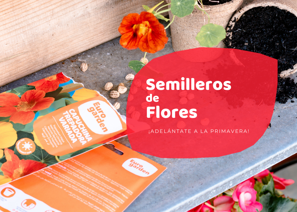 semilleros de flores