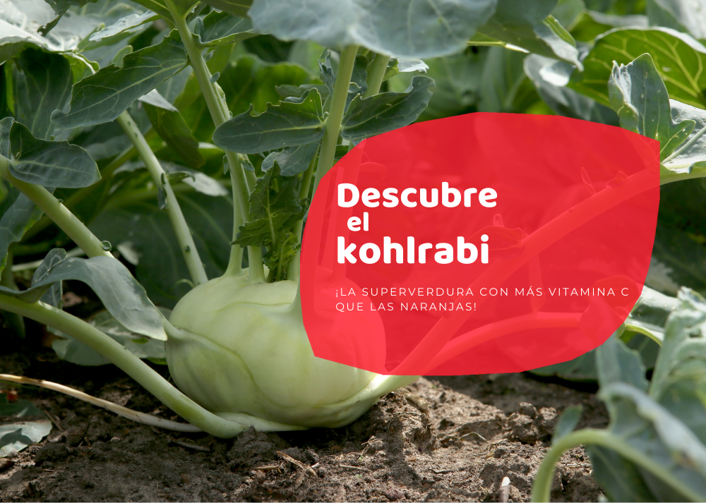 kohlrabi