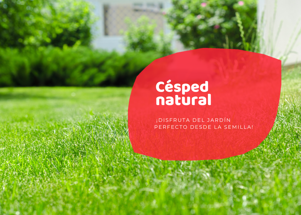 Césped Artificial Barcelona, el complemento perfecto para tu jardin