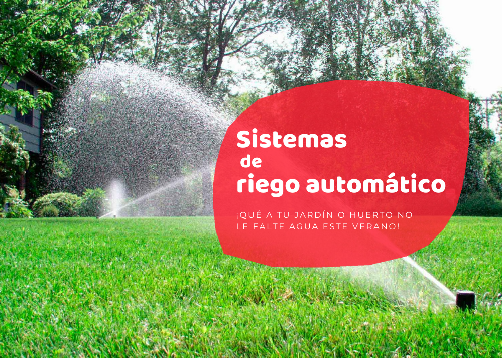 Cantina Tareas del hogar Saga Instala un sistema de riego automático para que a tu jardín o huerto no le  falte agua! - Eurogarden