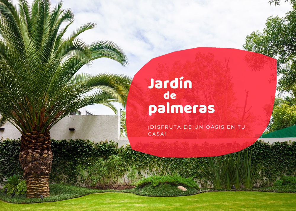 marea muñeca Cerebro Jardín de palmeras: ¡disfruta de un oasis en tu casa! - Eurogarden