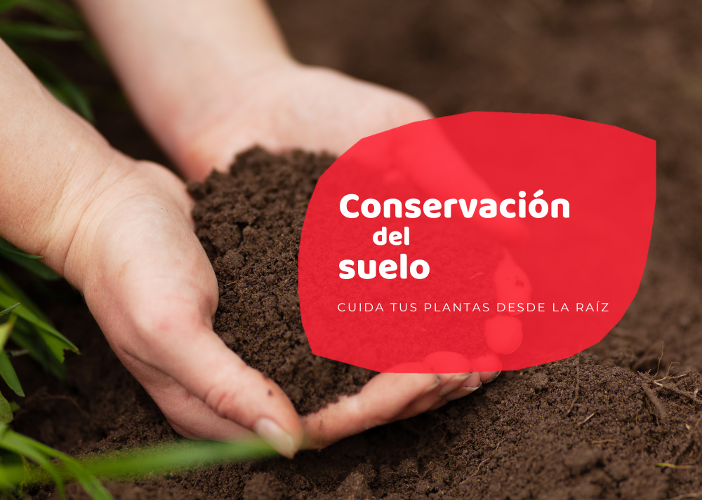 conservación del suelo