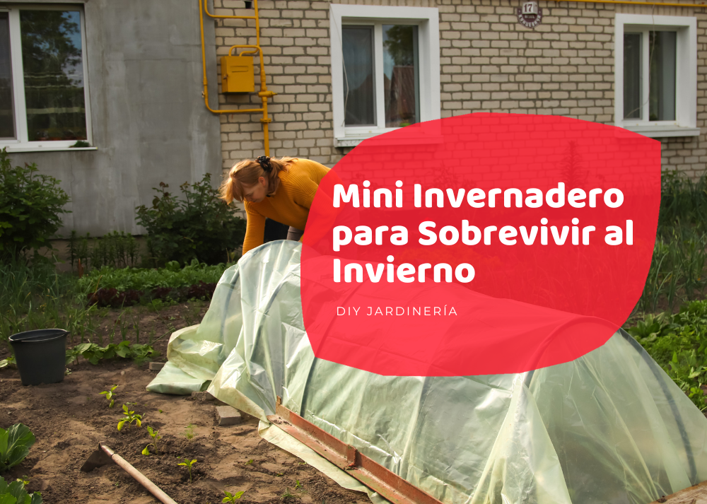 Cómo construir un mini-invernadero para tu balcón